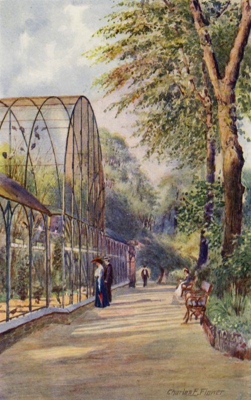 Londra Hayvanat Bahçesi: Batı Aviary (renkli taş) by Charles Edwin Flower