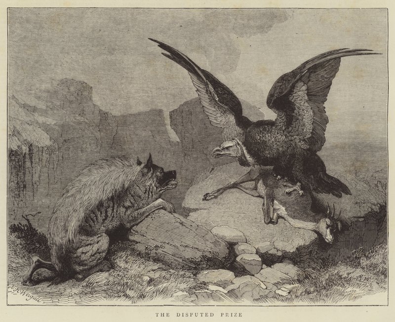 Tartışmalı Ödül by Charles Harvey Weigall