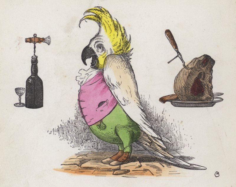 Açgözlü kakadu (renkli gravür) by Charles Henry (after) Bennett