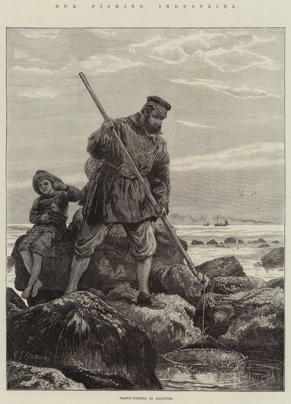 Balıkçılık Endüstrilerimiz, Hastings