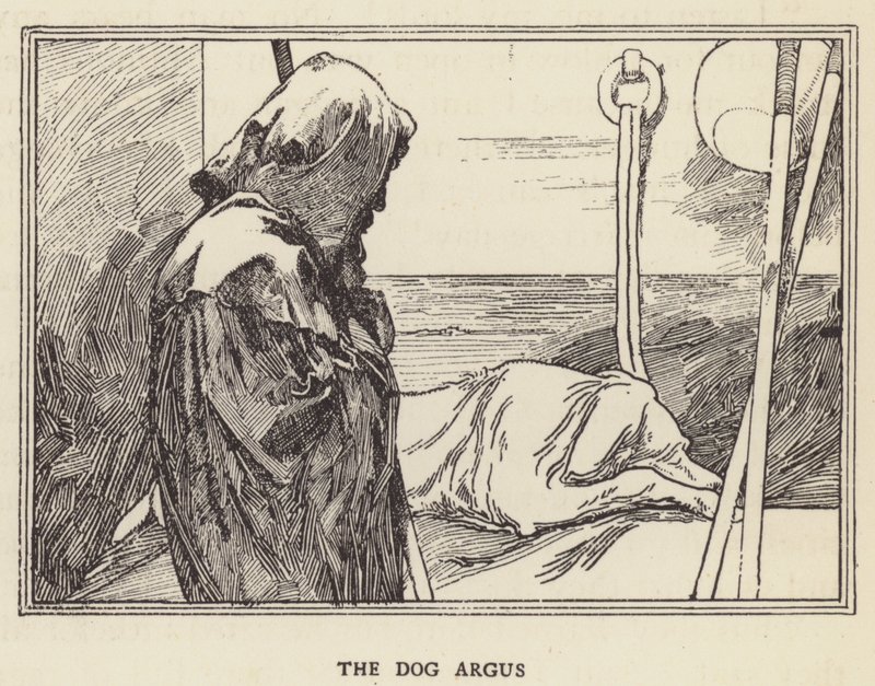 köpek argus by Sir John Charles Robinson