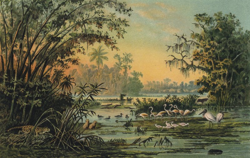 Orta Orinoco, Venezuela