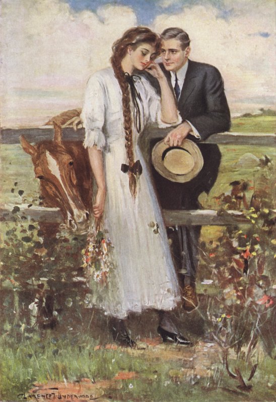 kır çiçekleri nasıl anlaşılır by Clarence F. Underwood