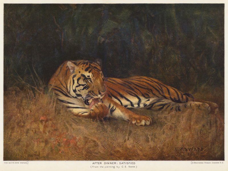 Akşam Yemeğinden Sonra Memnun (renkli taş) by Cuthbert Edmund Swan