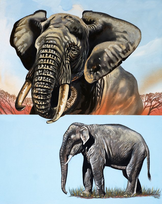  by David Pratt
