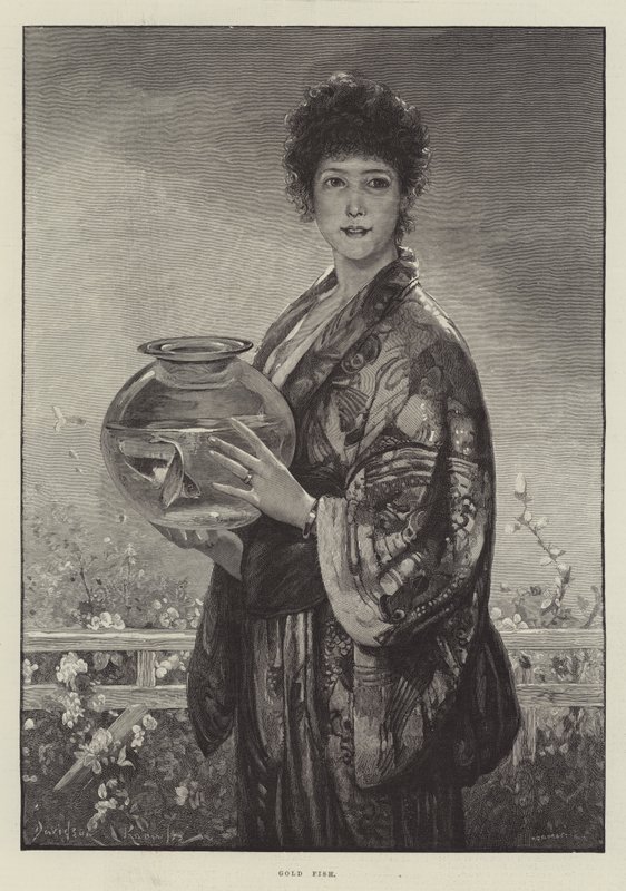 Akvaryum balığı by Davidson Knowles