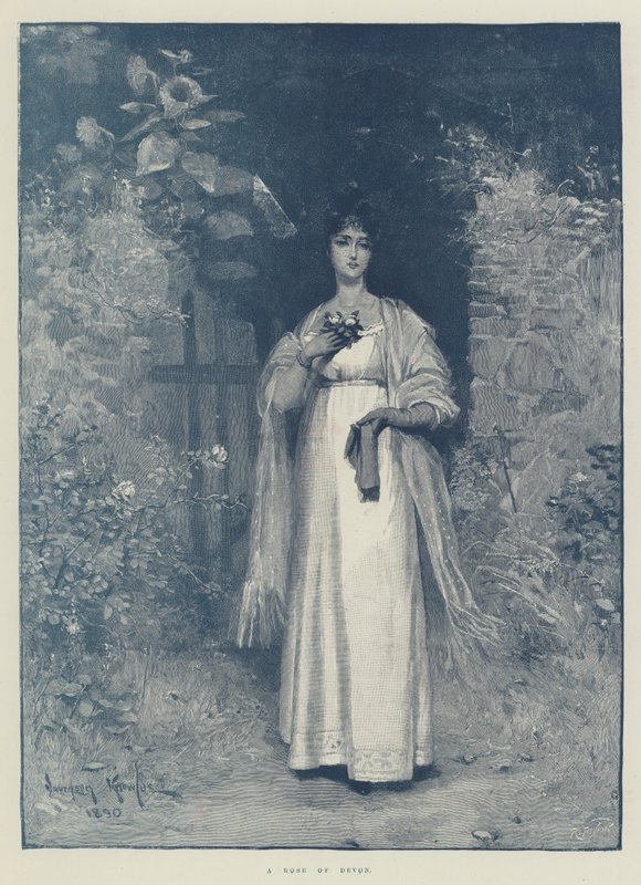 Bir Devon Gülü by Davidson Knowles