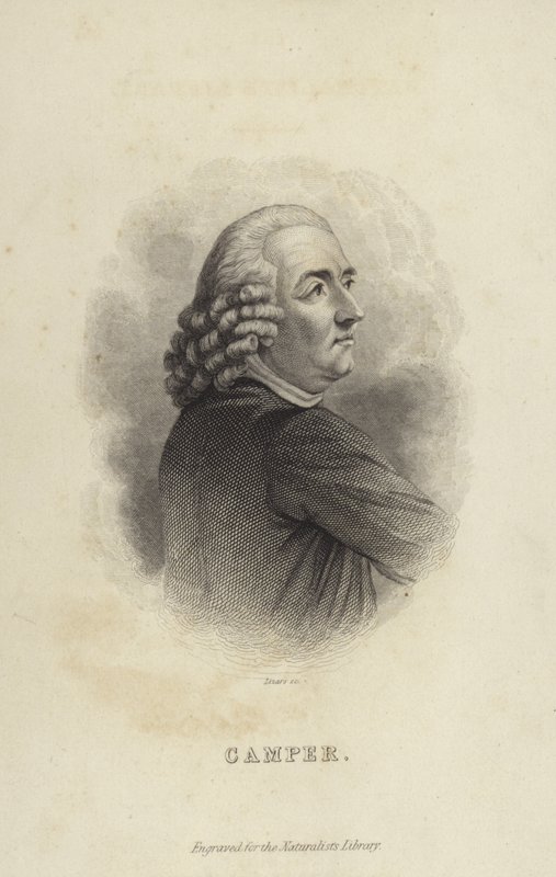 Peter Kampçı by Dutch School