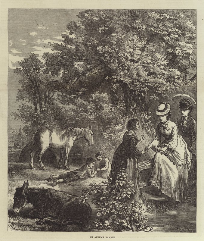 ಒಂದು ಶರತ್ಕಾಲದ ರಾಂಬಲ್ ಟರ್ಕ್ by Ebenezer Newman Downard