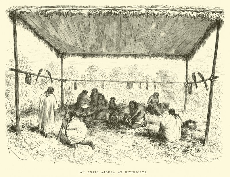 An Antis Ajoupa at Bitiricaya  by Edouard Riou