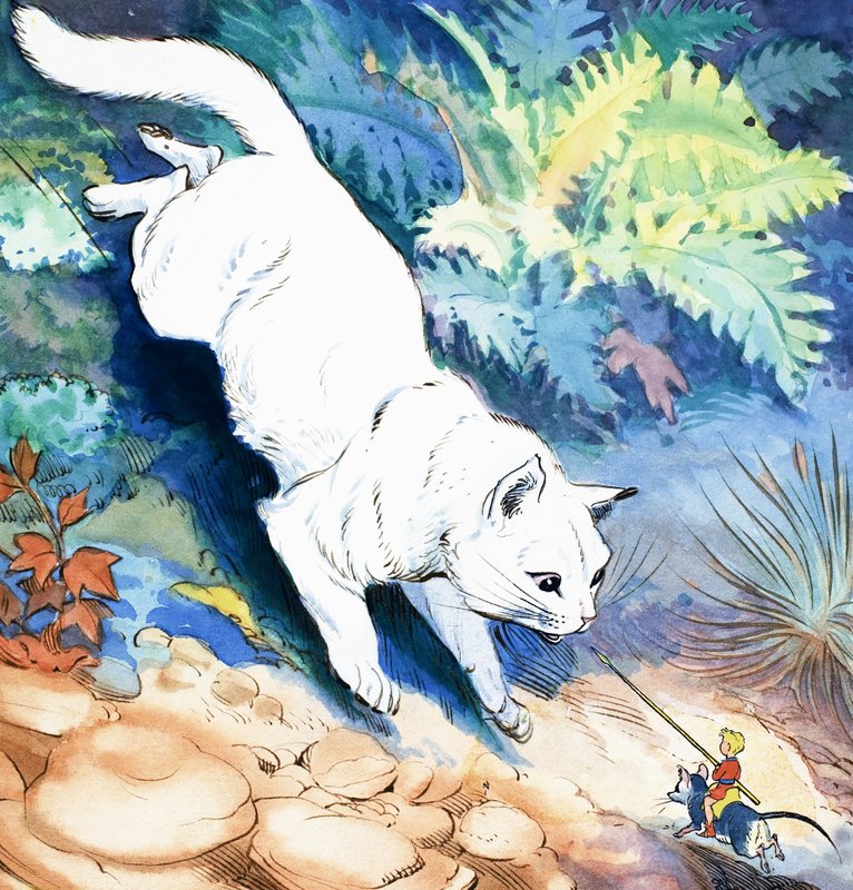  by Eduardo Teixeira Coelho