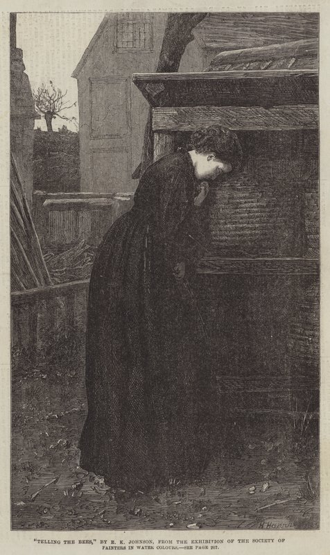 Arılara Anlatmak by Edward Killingworth Johnson