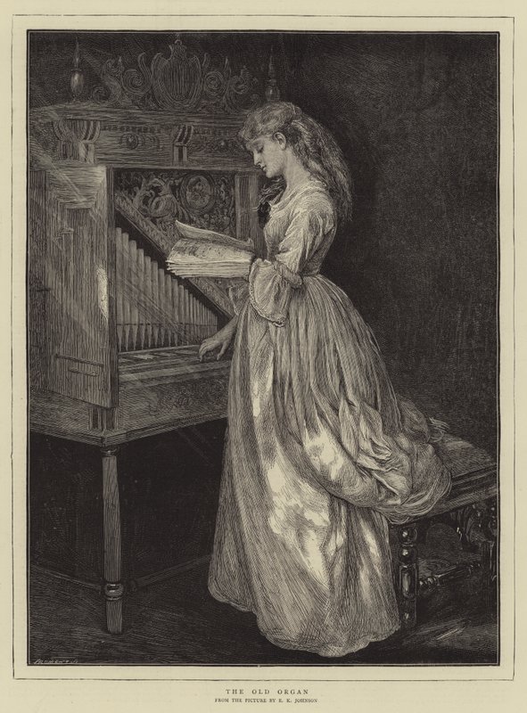 ಓಲ್ಡ್ ಆರ್ಗನ್ ಟರ್ಕ್ by Edward Killingworth Johnson