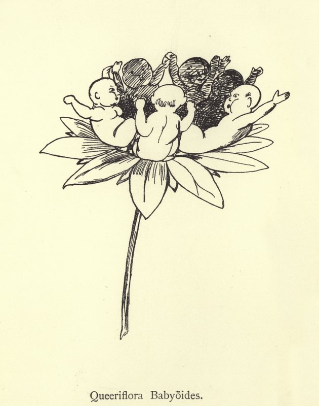 Kuirflora Babyoides by Edward Lear