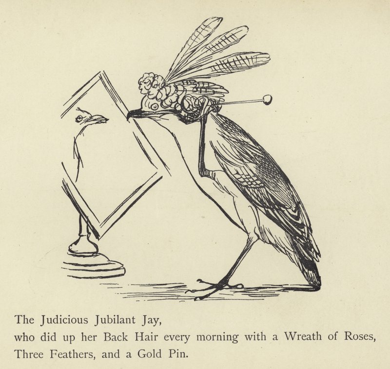 Mantıklı Sevinçli Jay by Edward Lear