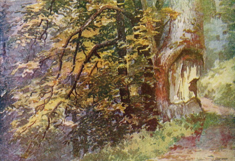Dairesel Yolda, Gulmarg by Edward Mary Joseph Molyneux