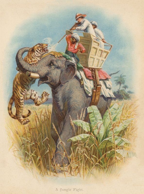 Bir Orman Dövüşü (renkli litho) by Edward Brice Montefiore