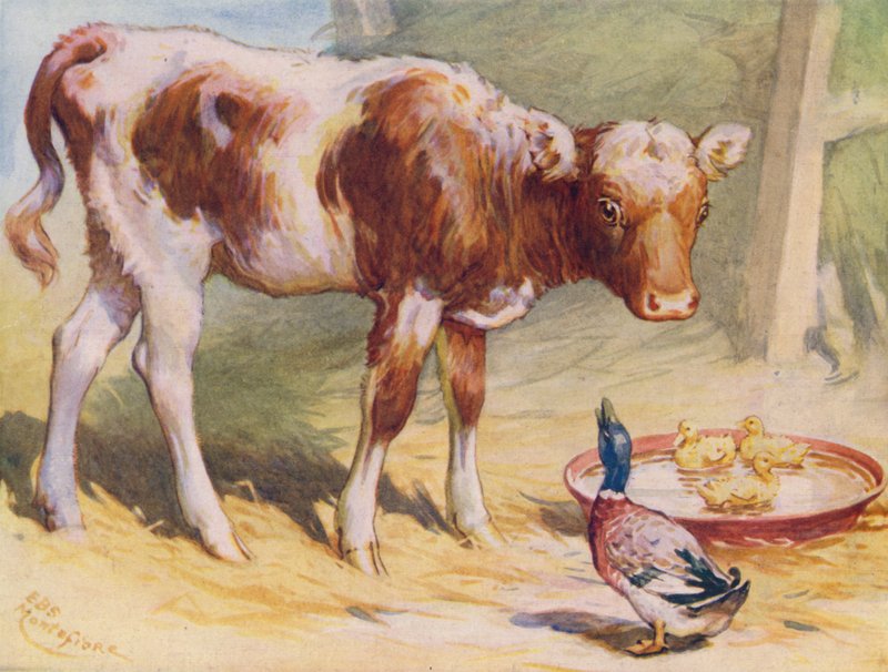 Buzağı ve ördekler (renkli lito) by Edward Brice Montefiore