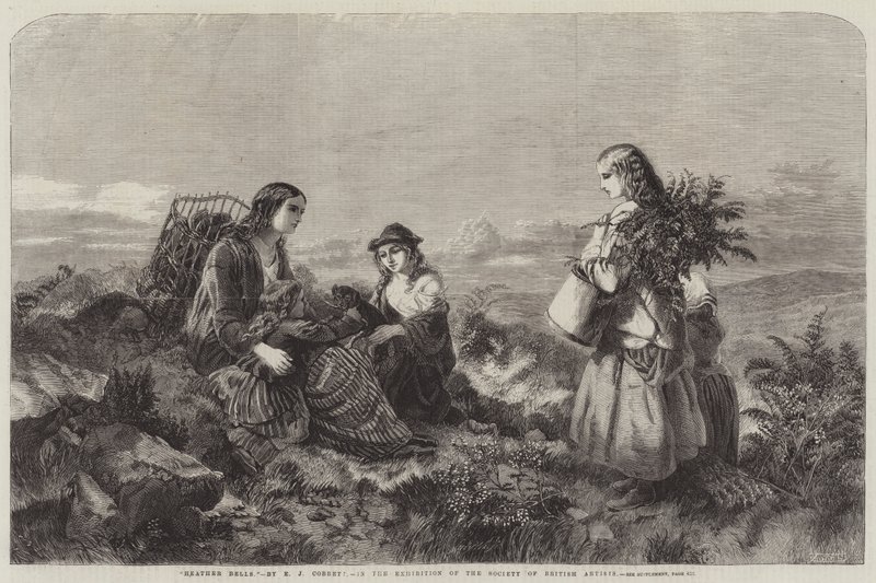 ಹೀದರ್ ಬೆಲ್ಸ್ ಟರ್ಕ್ by Edward John Cobbett
