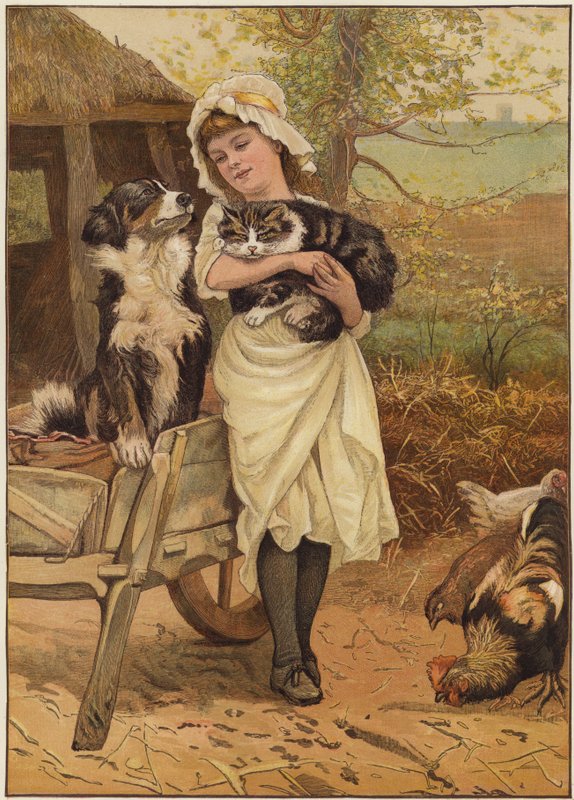 rakipler by Edward Killingworth Johnson