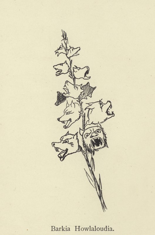 Kış by Edward Lear