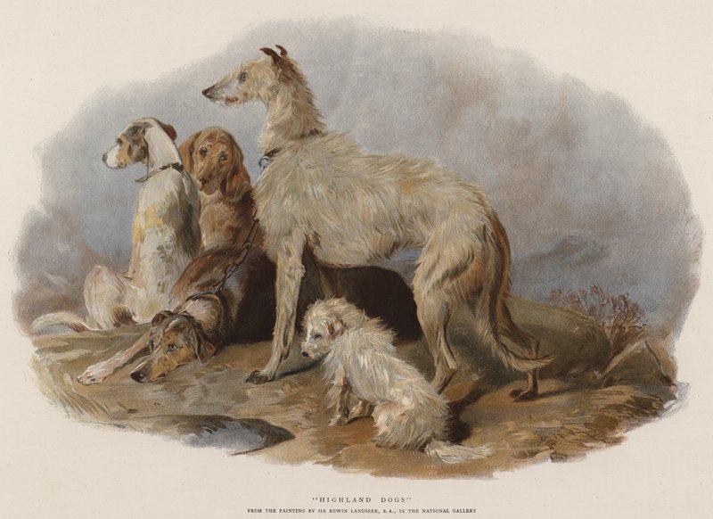 Yayla Köpekleri (chromolitho) by Edwin Landseer