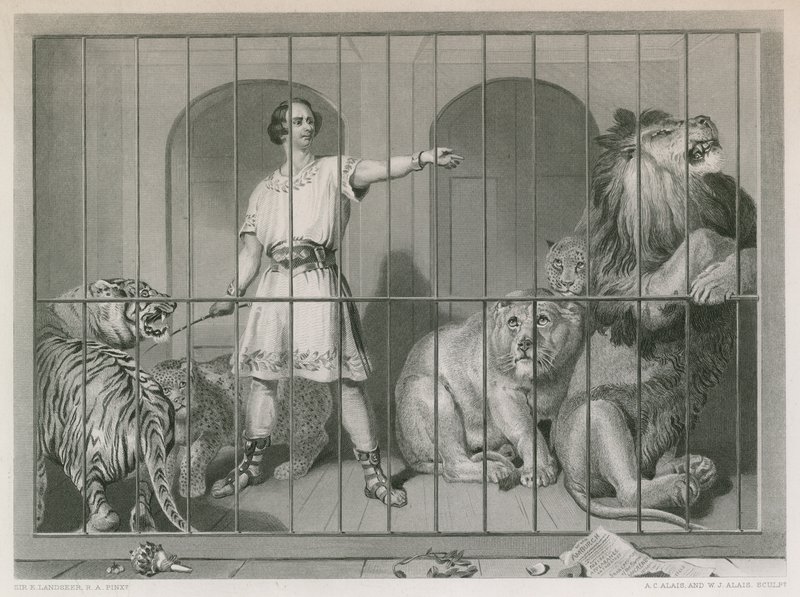 Van Amburgh ve aslanlar by Edwin Landseer