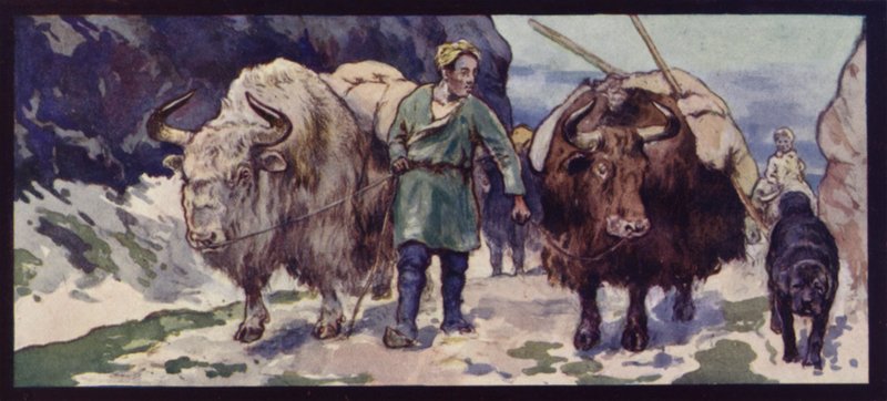 Bir Tibet Yak Treni (renkli taş) by Edwin Noble
