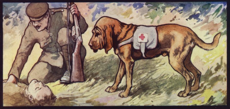 ambulans tazı by Edwin Noble