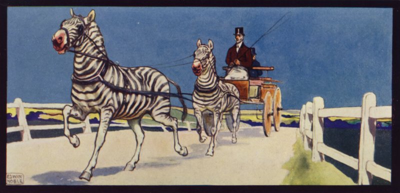 Sürüş Zebralar, Tandem (renkli taş) by Edwin Noble
