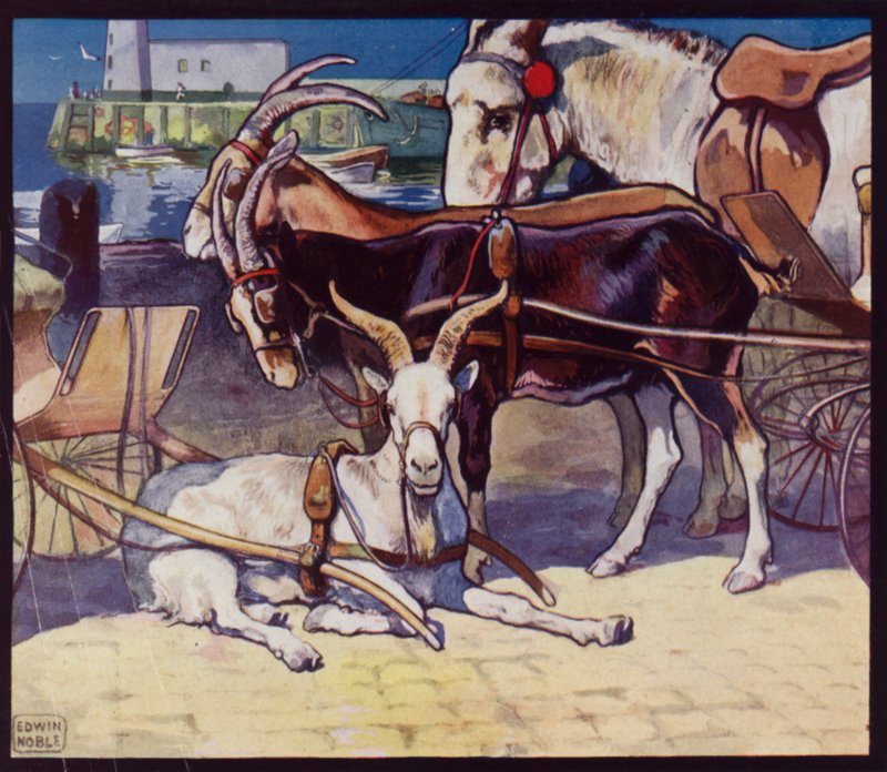 Keçi Arabaları (renkli taş) by Edwin Noble