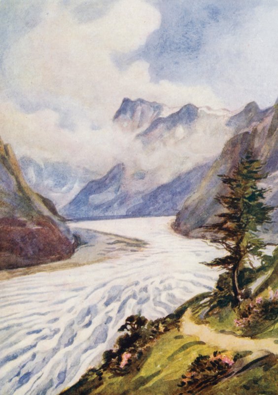  by Effie Jardine