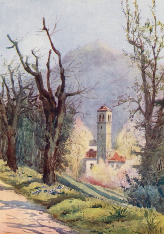  by Effie Jardine