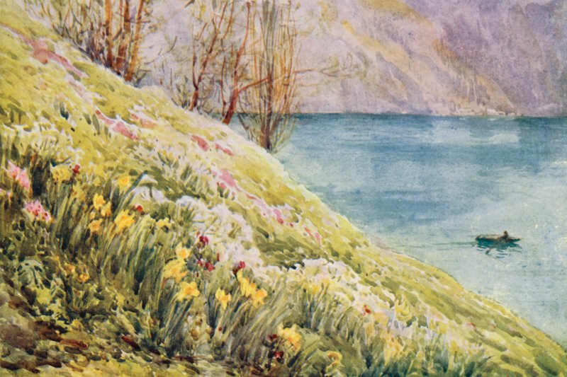  by Effie Jardine