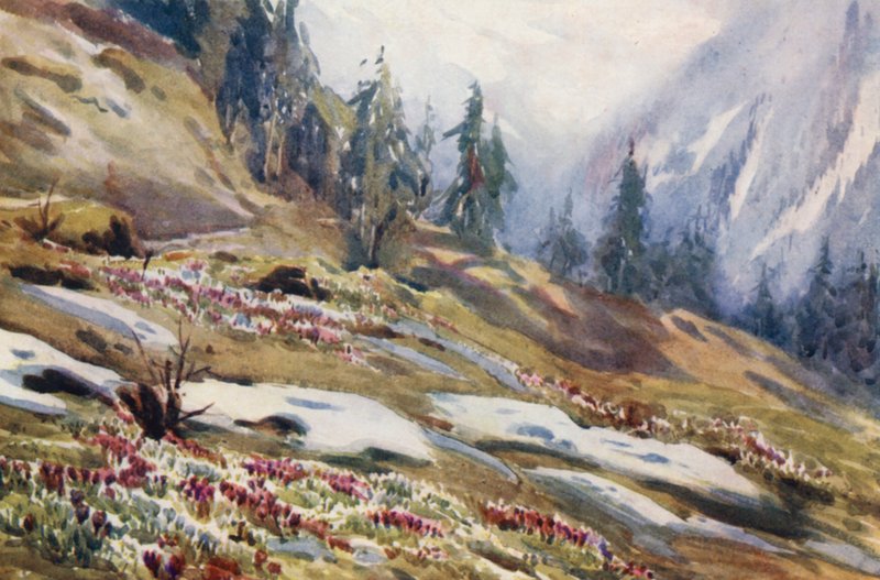 by Effie Jardine