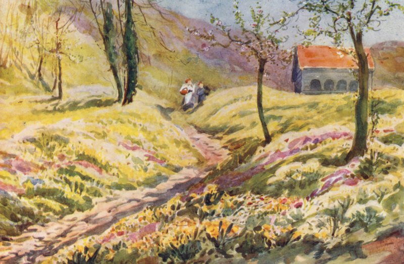  by Effie Jardine