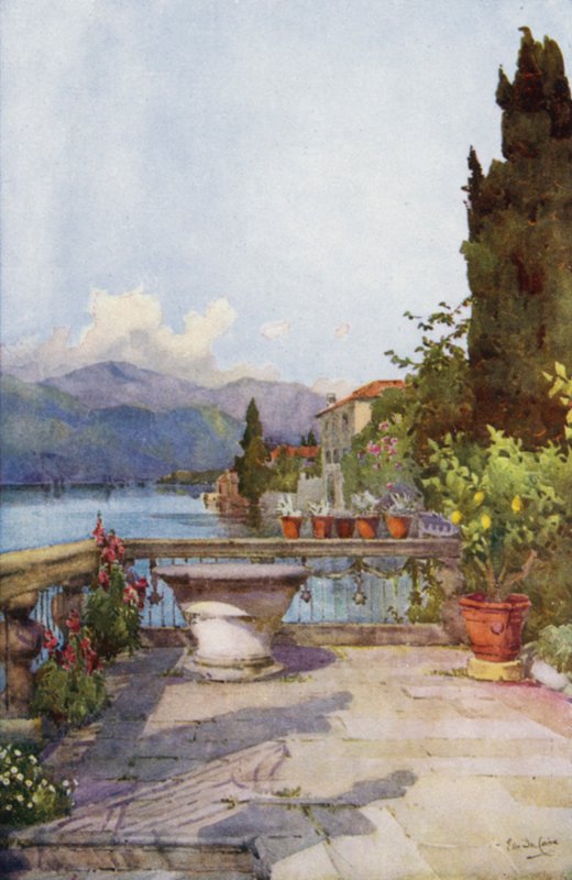 Orta