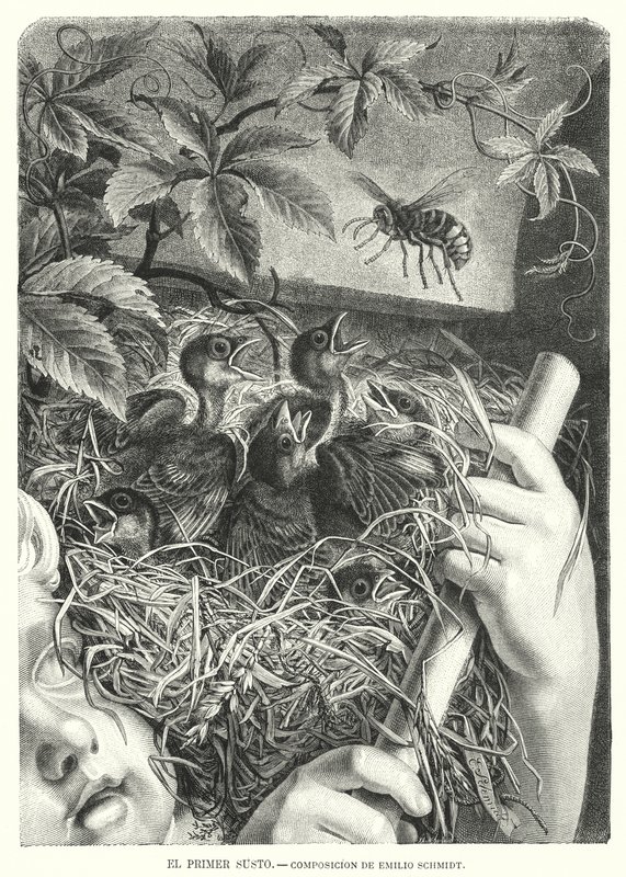 İlk Korku (lito) by Emil (after) Schmidt