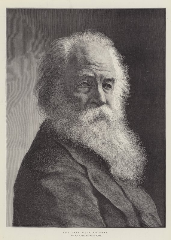 Merhum Walt Whitman by English School