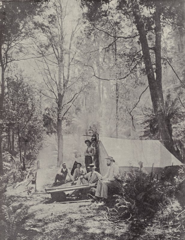 Bir Bush Kampı, Tazmanya by English Photographer