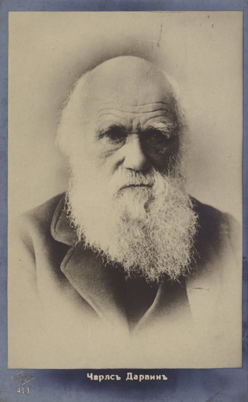 Charles Darwin (1809-1882), İngiliz doğa bilimci by English Photographer