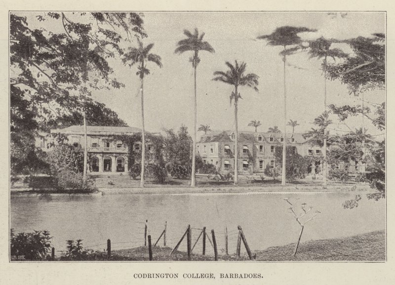 Codrington Koleji, Barbados by English Photographer