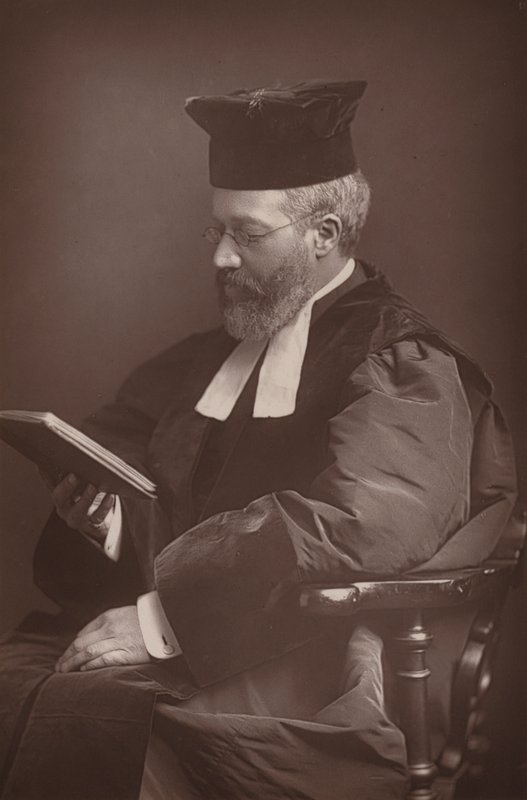 Adler by English Photographer