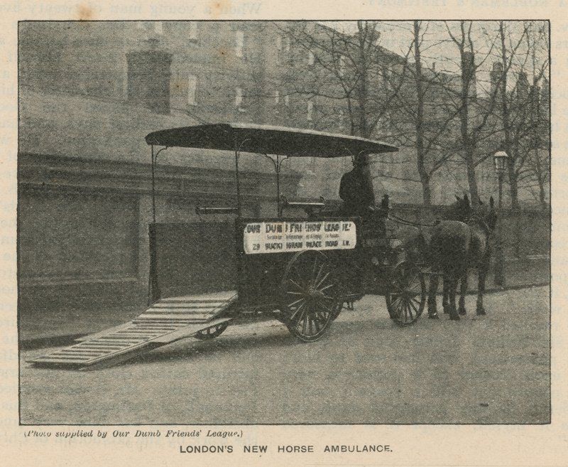 Londons yeni At Ambulansı by English Photographer