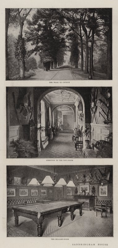 Sandringham Evi by English Photographer