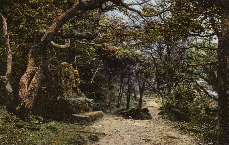 Taş Koltuk, Heyelan by English Photographer