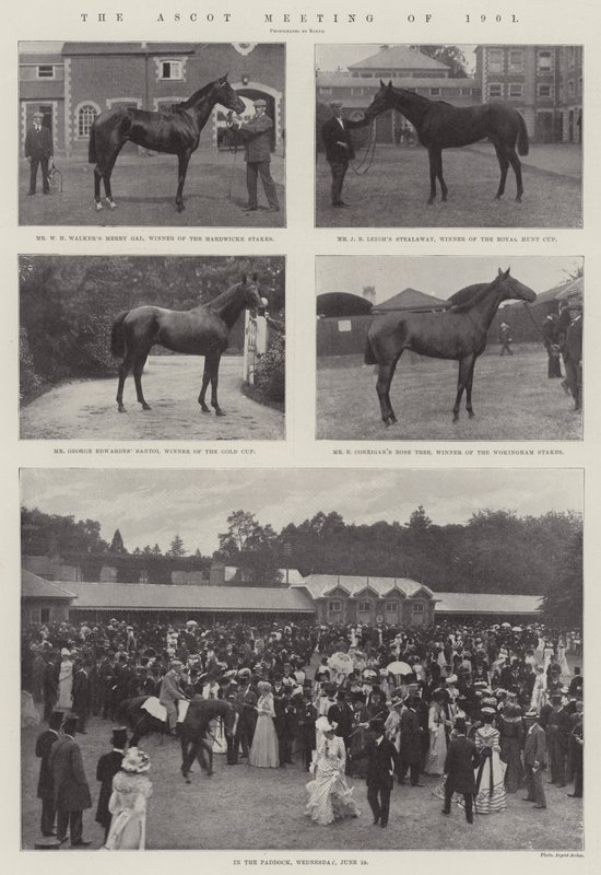 1901 Ascot Toplantısı by English Photographer