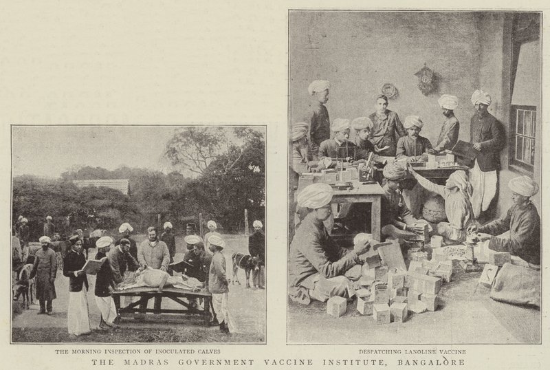 Madras Devlet Aşı Enstitüsü, Bangalore by English Photographer