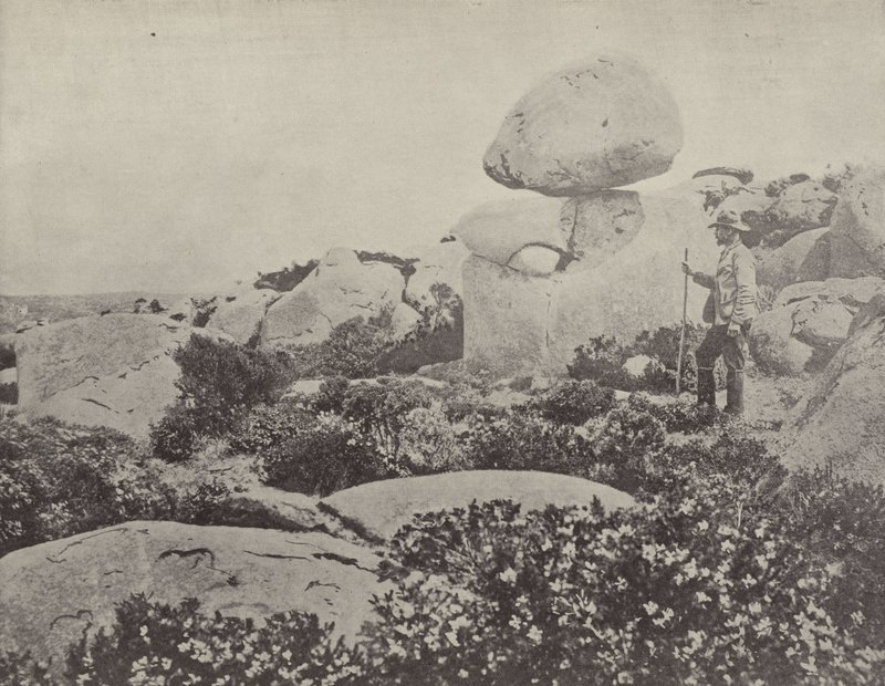 Sallanan Taş, Hobart by English Photographer
