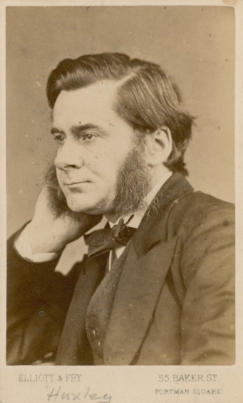 Thomas Henry Huxley by English Photographer